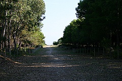 Promotorio del gargano and Baia del Zagare